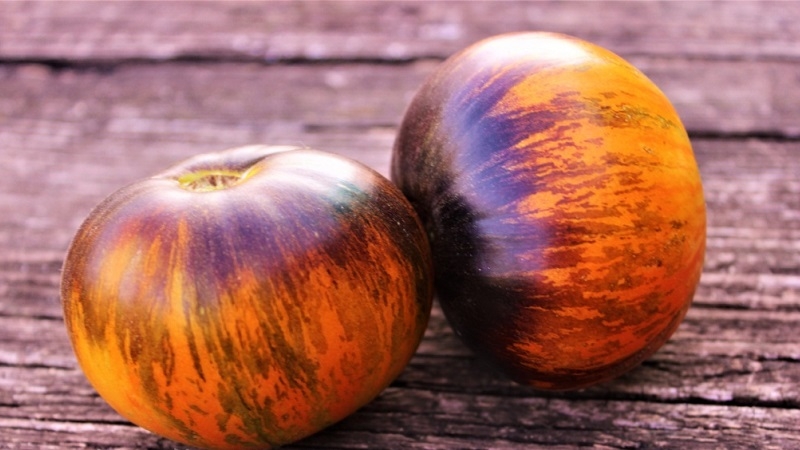 Des fruits bicolores fascinants au goût incroyable: la tomate Alice's Dream