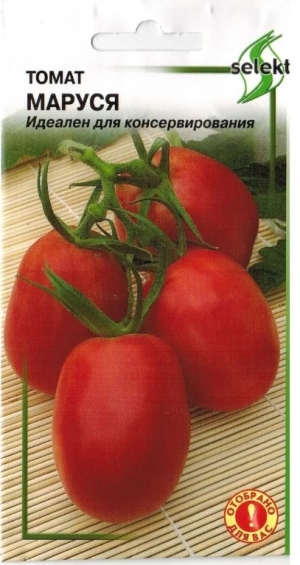 Tomate Marusya sans prétention avec un excellent goût: nous la cultivons nous-mêmes et profitons de la récolte