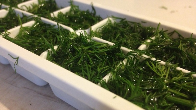 Comment congeler l'aneth pour l'hiver au congélateur: méthodes de récolte et utilisation ultérieure