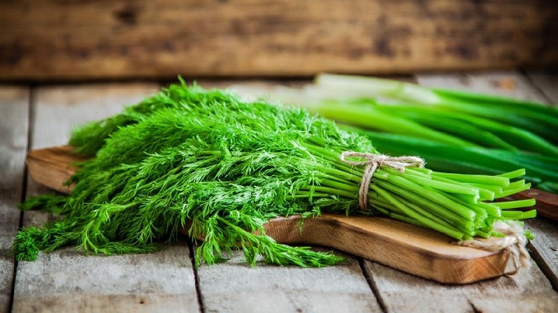 Comment congeler l'aneth pour l'hiver au congélateur: méthodes de récolte et utilisation ultérieure