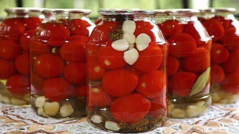 Nous obtenons un rendement élevé avec des coûts et des risques minimes, en cultivant une ferme collective de tomates productive