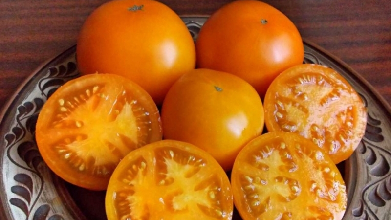 Le miracle de la tomate orange est une vraie trouvaille pour tout résident d'été