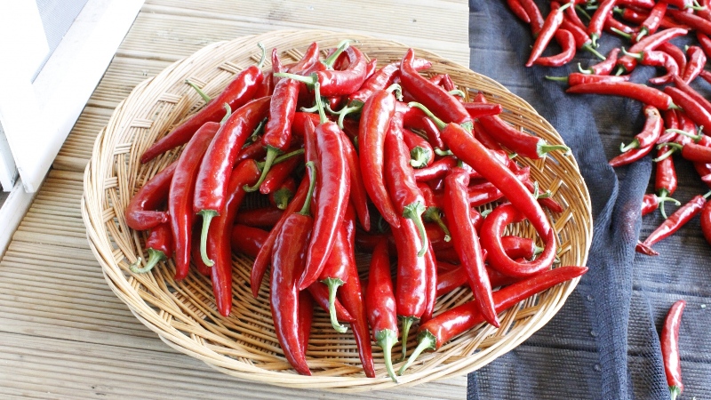 Comment faire cuire des piments forts marinés pour l'hiver sans stérilisation: les recettes les plus simples et les plus délicieuses