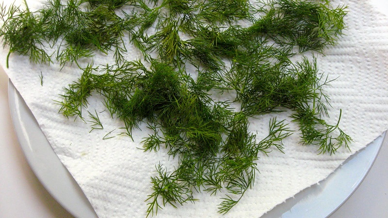 Comment bien sécher l'aneth à la maison et où le conserver