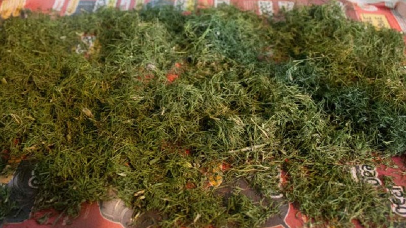 Comment bien sécher l'aneth à la maison et où le conserver