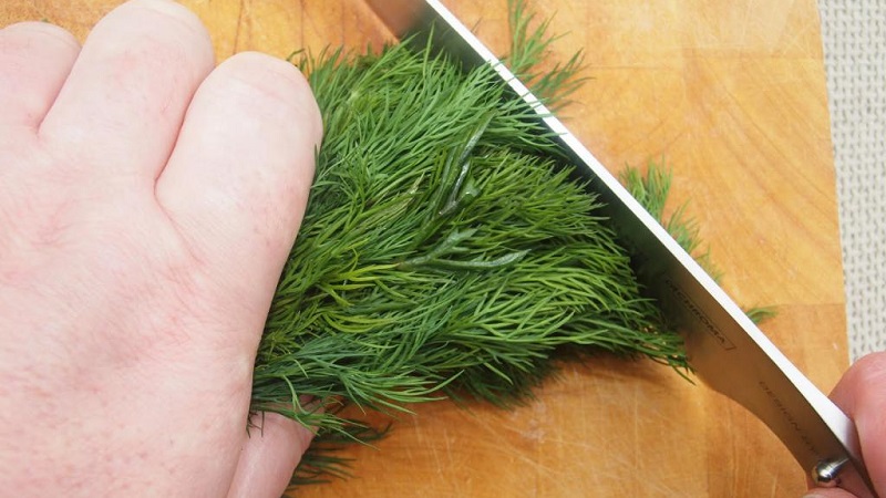 Comment bien sécher l'aneth à la maison et où le conserver