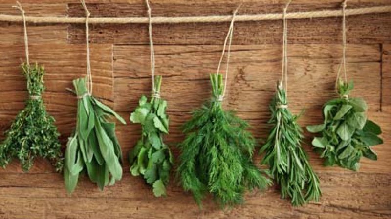 Comment bien sécher l'aneth à la maison et où le conserver