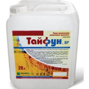 Comment cultiver la tendresse du poivre, éprouvée et appréciée des jardiniers