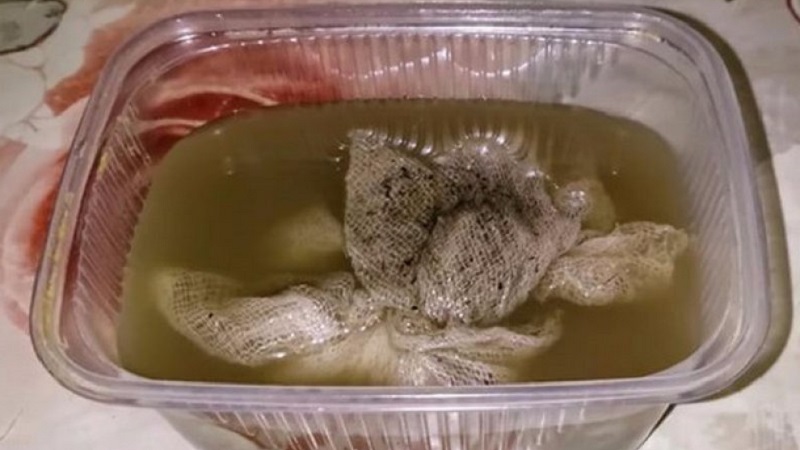 Une variété au goût et à l'arôme impeccables - Tomato King of London: critiques, photos et secrets d'entretien