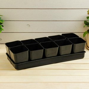 Un favori parmi les résidents d'été pour la culture en serre est une tomate Babushkino lukoshko