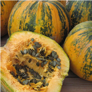 Description de la citrouille ordinaire (hard-bore, pepo): composition et propriétés, caractéristiques, nuances de culture et d'utilisation