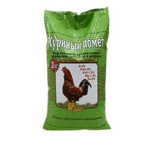 Une variété avec un arôme de melon et un rendement élevé - la citrouille Rossiyanka et les secrets de sa culture