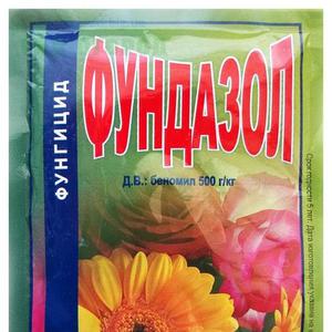 Une variété avec un arôme de melon et un rendement élevé - une femme russe citrouille et les secrets de sa culture