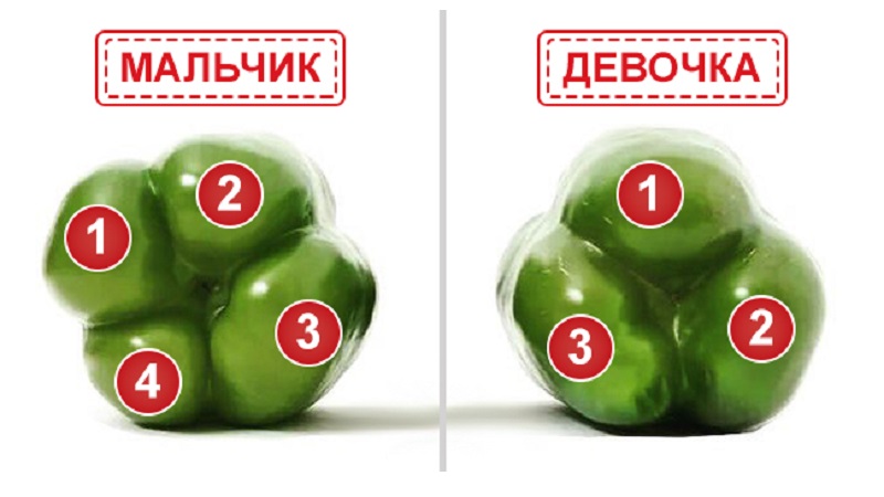 Où et comment conserver les poivrons pour l'hiver: frais, congelés, séchés, séchés et en conserve