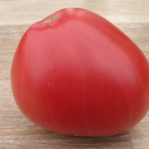 Caractéristiques des variétés de technologie agricole Loving heart red