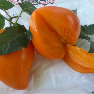 Giant Delicious Orange Fruit - Tomate Orange Fraise
