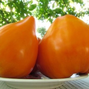 Giant Delicious Orange Fruit - Tomate Orange Fraise
