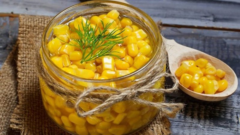 Où et comment conserver correctement le maïs bouilli: différentes façons et conditions de fraîcheur