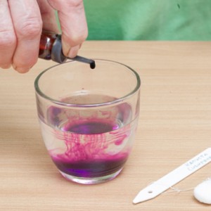 Comment lutter contre le mildiou sur les tomates dans une serre en utilisant des méthodes traditionnelles: les meilleurs moyens de traiter et de prévenir les maladies