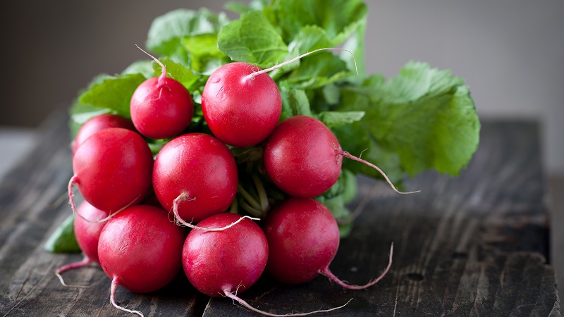 Quelles vitamines contiennent les radis et comment sont-elles utiles pour la santé