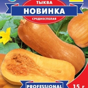 Les variétés les plus populaires de citrouilles en forme de poire: comment les cultiver et ce qu'il est important de savoir à leur sujet