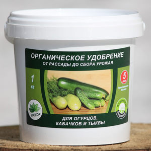 Un concombre précoce qui ne nécessite pas de pollinisation Murashka par des éleveurs domestiques