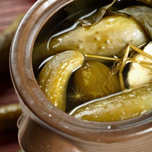 Un concombre précoce qui ne nécessite pas de pollinisation Murashka par des éleveurs domestiques