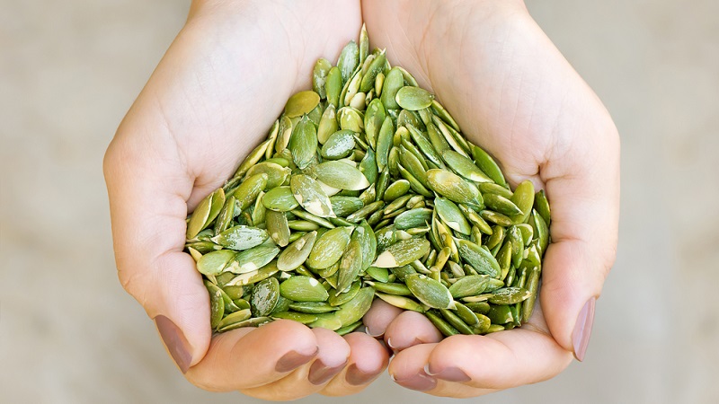 Pousses de citrouille pour les semis et manger à la maison: comment faire germer les graines de citrouille et les conserver longtemps