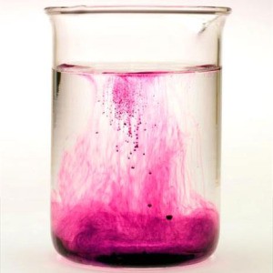 Un conte de fées sur votre site - Tomate Princess Frog: critiques et recommandations pour une bonne culture