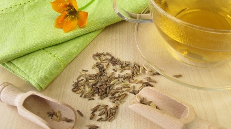 Une façon savoureuse et saine de lutter contre l'obésité: l'aneth pour perdre du poids