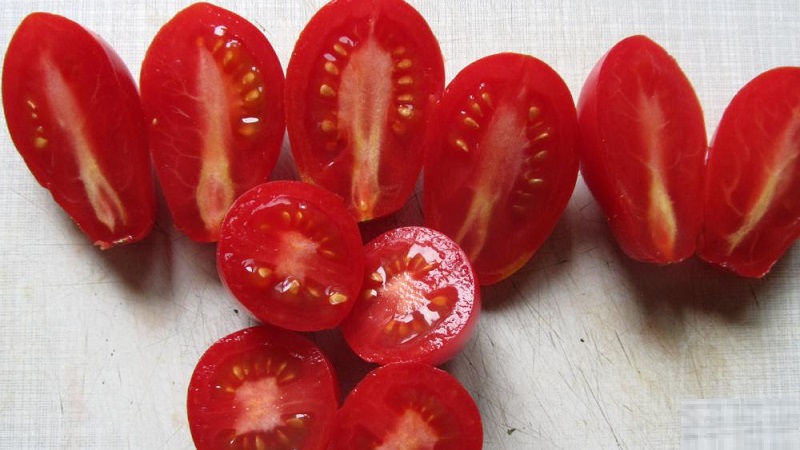 Une riche récolte de petites tomates italiennes de chaque buisson - Raisins secs tomates roses et les secrets de leur entretien