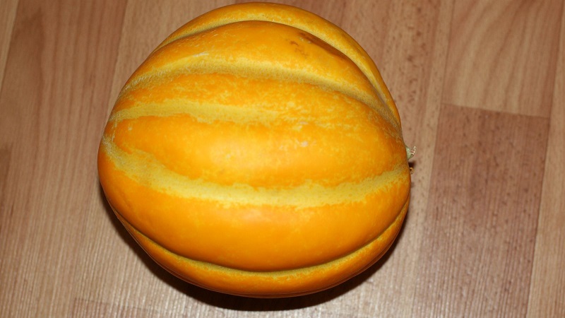 Pourquoi le melon éthiopien est bon et pourquoi il vaut la peine d'essayer de le cultiver vous-même