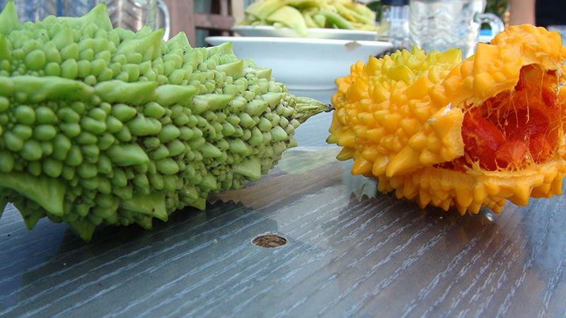 Qu'est-ce que Momordica Charantia: un aperçu d'un légume exotique, les étapes de sa culture et ses propriétés médicinales