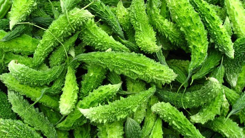 Qu'est-ce que Momordica Charantia: un aperçu d'un légume exotique, les étapes de sa culture et ses propriétés médicinales