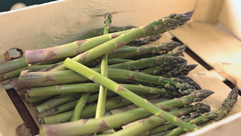 Qu'est-ce que l'asperge, à quoi elle ressemble et est-elle utilisée