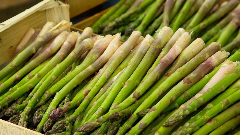 Qu'est-ce que l'asperge, à quoi elle ressemble et est-elle utilisée