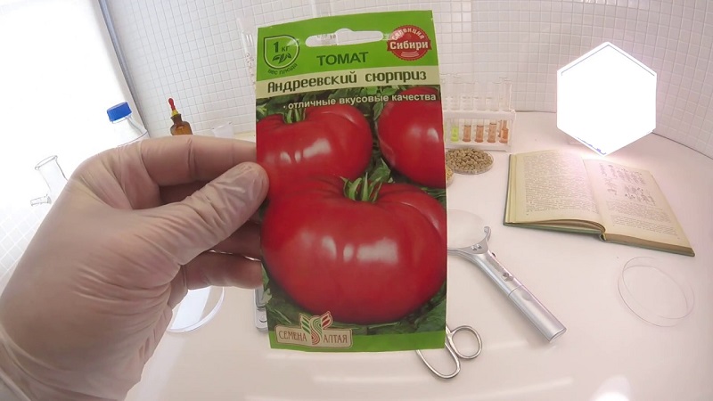 Donnera une récolte tardive, mais répondra aux attentes - Tomate Andreevsky surprise