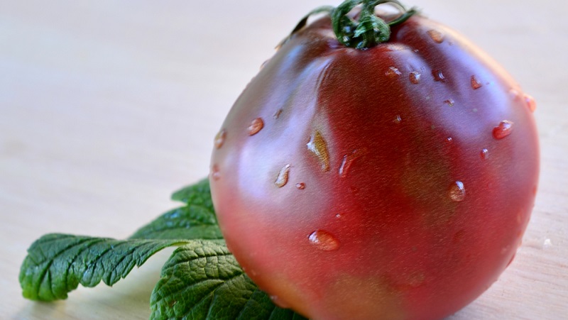 Tomate, idéale pour la conservation et pas capricieuse dans les soins, truffe japonaise: critiques, photos et secrets de culture