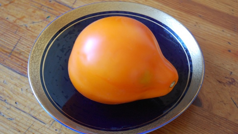 Tomate, idéale pour la conservation et pas capricieuse dans les soins, truffe japonaise: critiques, photos et secrets de culture