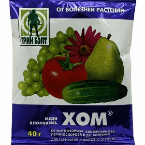 Pourquoi les feuilles de chèvrefeuille jaunissent en juin et comment y remédier