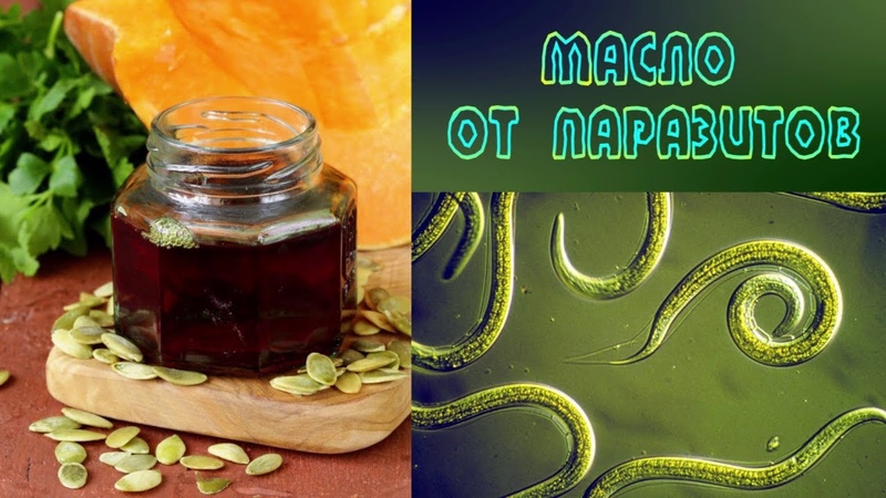 Comment utiliser l'huile de pépins de citrouille contre les vers et son efficacité: traitement des parasites avec une méthode populaire populaire