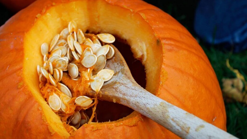 Comment choisir et préparer les graines de citrouille pour la plantation, puis en faire une excellente récolte