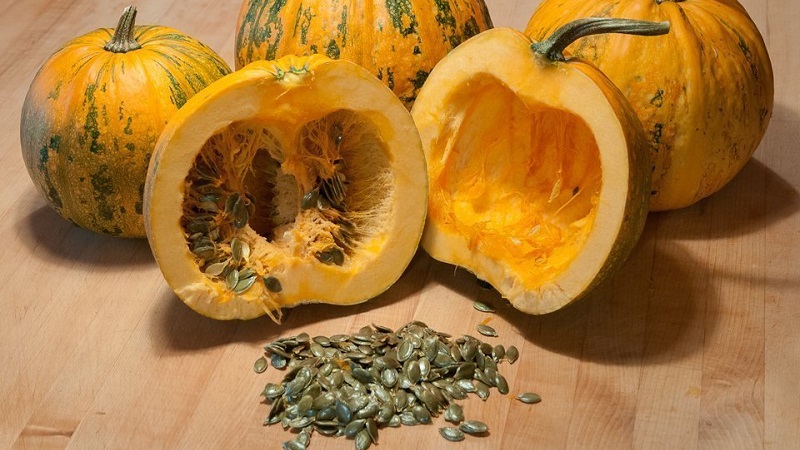 Comment choisir et préparer les graines de citrouille pour la plantation, puis en faire une excellente récolte