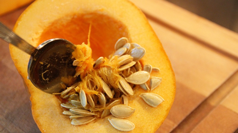 Comment choisir et préparer les graines de citrouille pour la plantation, puis en faire une excellente récolte