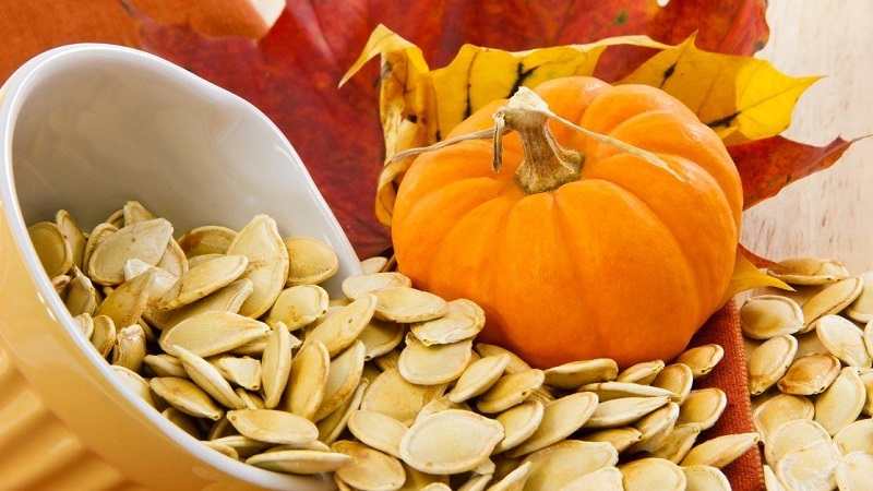 Comment choisir et préparer les graines de citrouille pour la plantation, puis en faire une excellente récolte