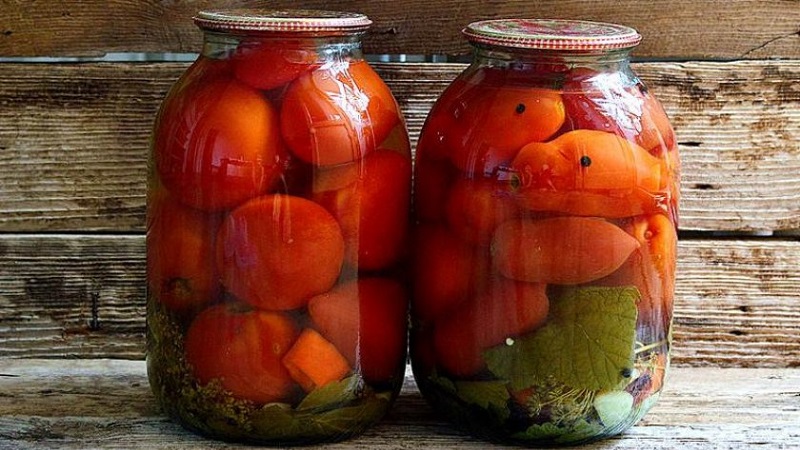 Tomates en conserve pour l'hiver: une sélection des meilleures recettes et des conseils utiles pour la préparation correcte des twists