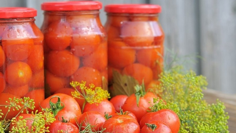 Tomates en conserve pour l'hiver: une sélection des meilleures recettes et des conseils utiles pour la préparation correcte des twists