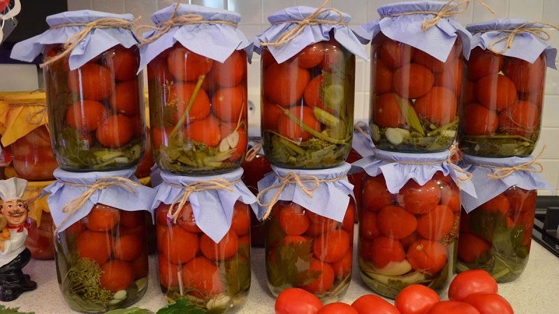 Tomates en conserve pour l'hiver: une sélection des meilleures recettes et des conseils utiles pour la préparation correcte des twists