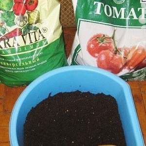 Variété à gros fruits, dont les résidents d'été sont ravis - Tomate Riddle of Nature