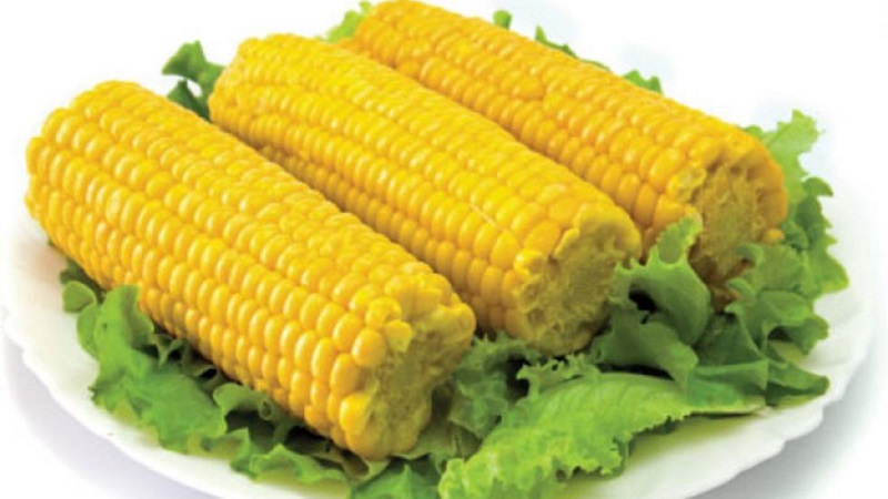 Si le maïs est possible ou non pour le diabète de type 2: effets nocifs et avantages, taux de consommation